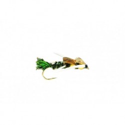 Creeper Peacock (Gold Nugget)