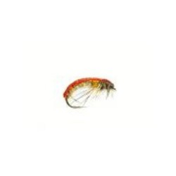 czech hares ear amber super