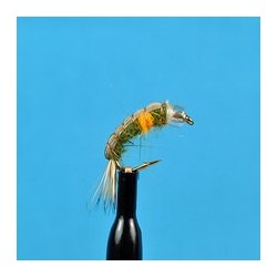 Bead Head Pregnant Shrimp