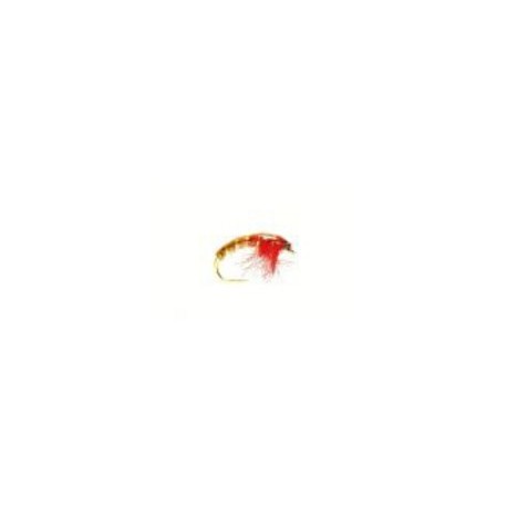 czech hares ear red
