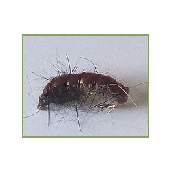 Czech Nymph Brown