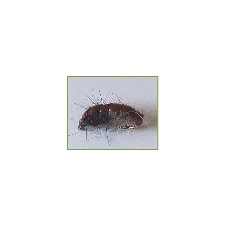 Czech Nymph Brown