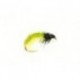 czech nymph glister green