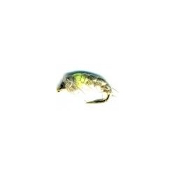 Czech nymph hares Ear&Green