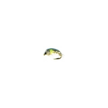 Czech nymph hares Ear&Green