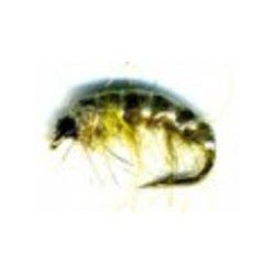 Czech nymph olive amber