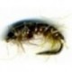 Czech nymph Olive Brown