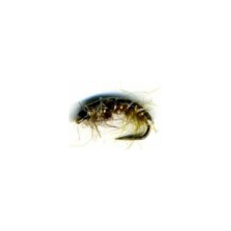 Czech nymph Olive Brown