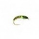 CZECH Nymph Pea