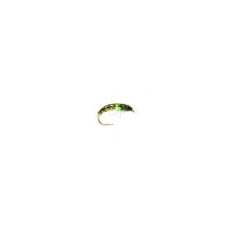 CZECH Nymph Pea