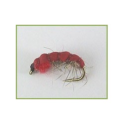 Czech Nymph Red