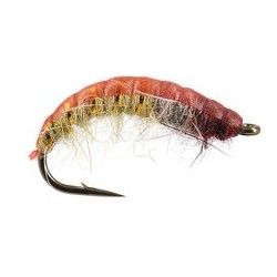 Czech Nymph Superb Terra
