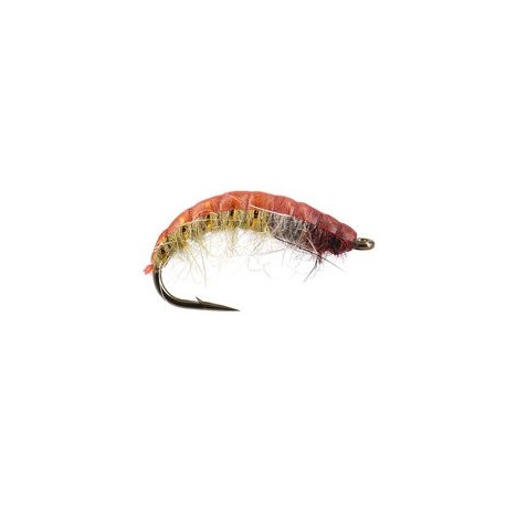 Czech Nymph Superb Terra