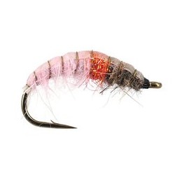 Czech Pink Lady