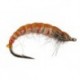Czech Red Ribber