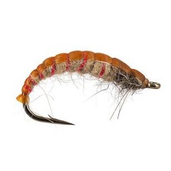 Czech Red Ribber