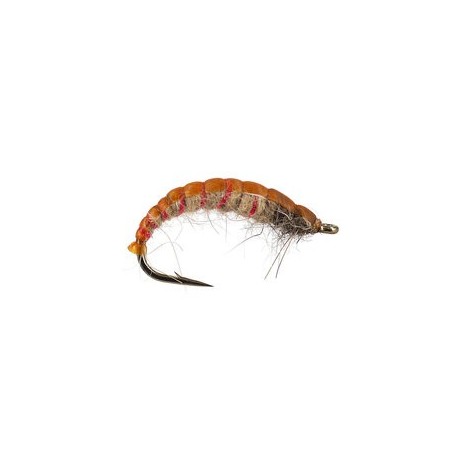Czech Red Ribber
