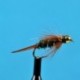 Bead Head Prince Nymph Clear Wing