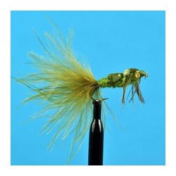 Damsel Nymph Olive