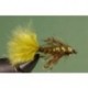 Damsel Olive SP