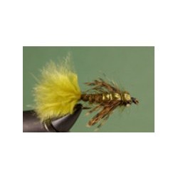 Damsel Olive SP