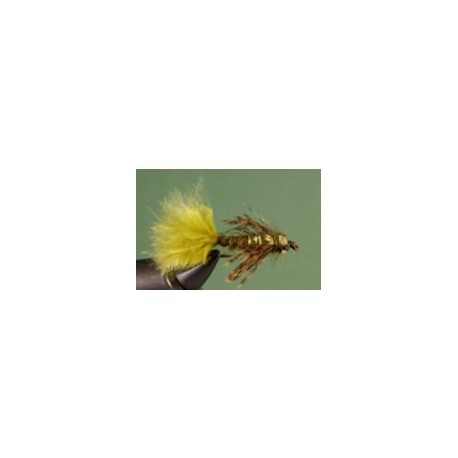 Damsel Olive SP
