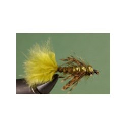 Damsel Olive SP