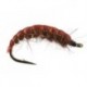 Dark Brown Ribbed Dream