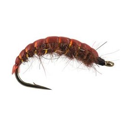 Dark Brown Ribbed Dream
