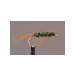 DB Holo Green