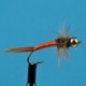 Bead Head Prince Nymph Neon Orange