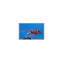 Diawl Bach Claret