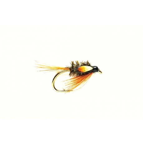 Diawl Bach Special