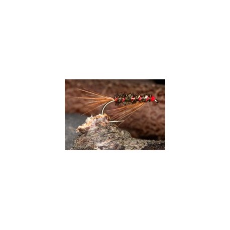 DiawlBachRedRib