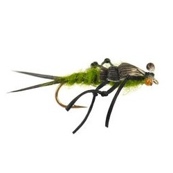 Dragon Fly