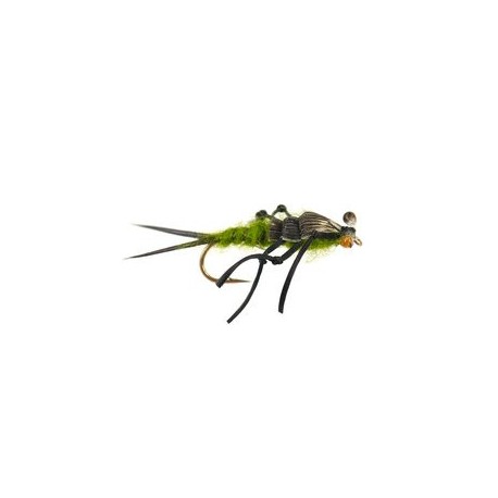 Dragon Fly