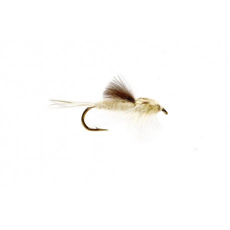Eastern Green Drake Nymph