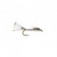 emerging callibaetis