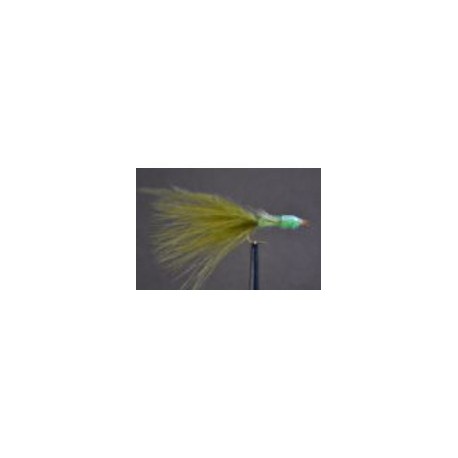 eyed dragonfly