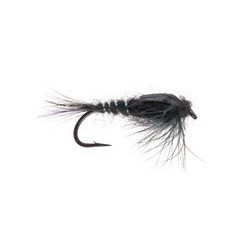 Flashback nymph