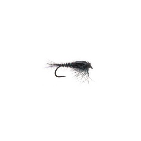 Flashback nymph