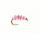 Flashback Pink Shrimp