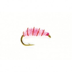 Flashback Pink Shrimp