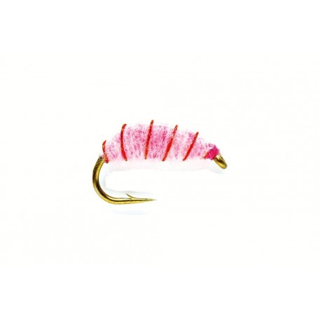 Flashback Pink Shrimp