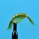 Bead Head Scud Olive