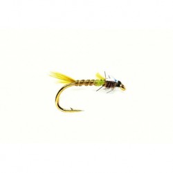Flexi Olive