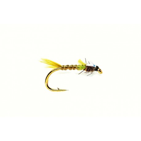 Flexi Olive