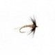 Flymph Henrickson (BH)