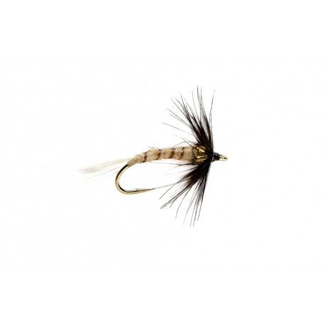 Flymph Henrickson (BH)