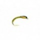 FM Olive
